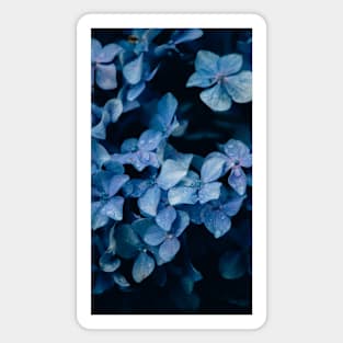 Deep Blue Flowers Magnet